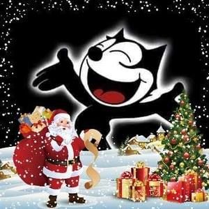 Meet your Posher, Sue